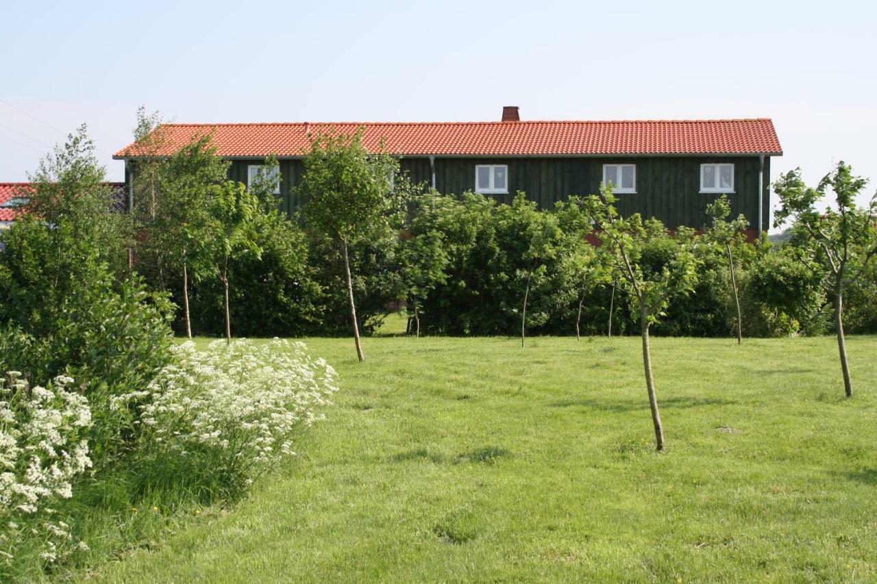 " Haus Zwischen Den Meeren " Strubbel Exterior foto